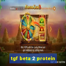 tgf beta 2 protein